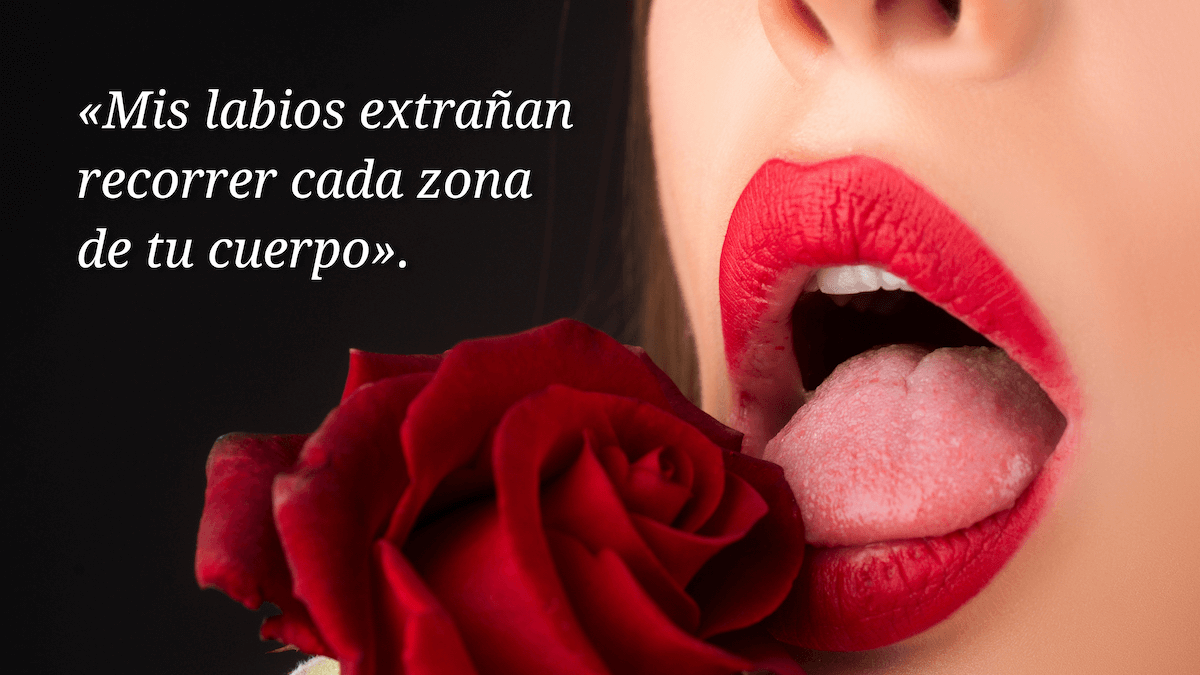 Labios rojos son acariciados por una rosa
