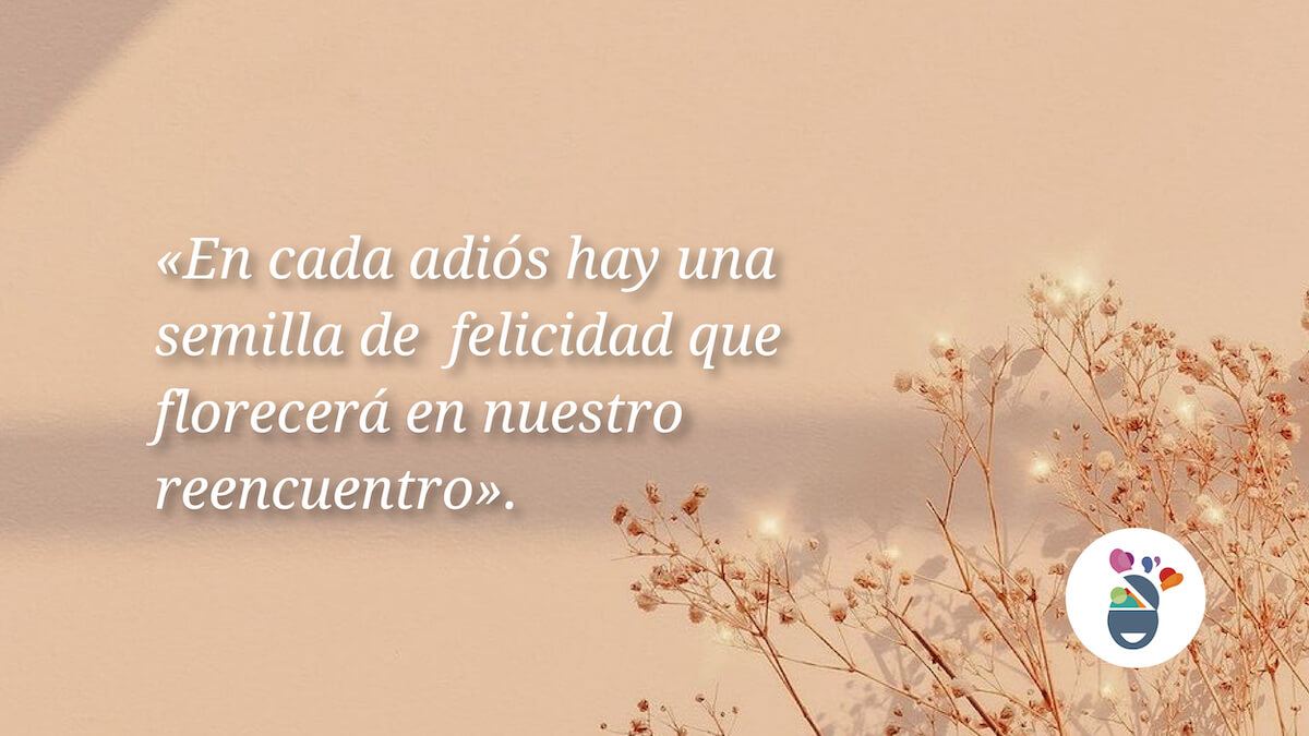 Palabras de despedida deseando un reencuentro