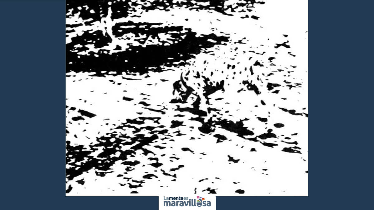 Ejemplo de la ley de pregnancia de la Gestalt