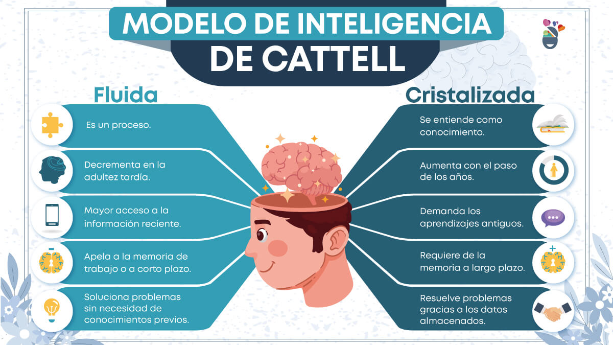 Tabla con las diferencias entre inteligencia fluida y cristalizada