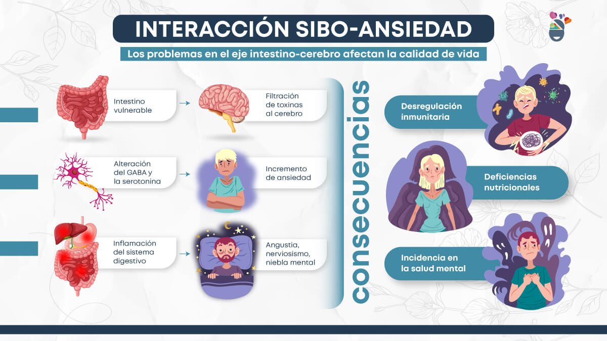 Infografía con la relación entre SIBO y ansiedad