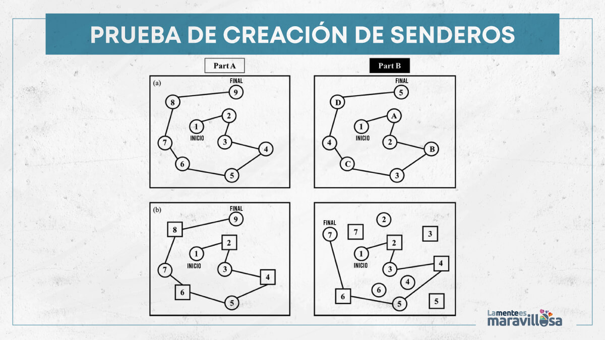 Prueba de creación de senderos.