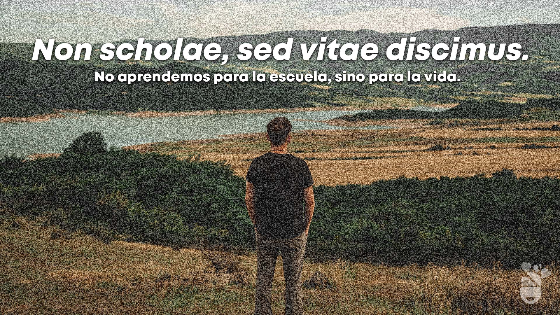 Una de las frases y proverbios en latín para la vida