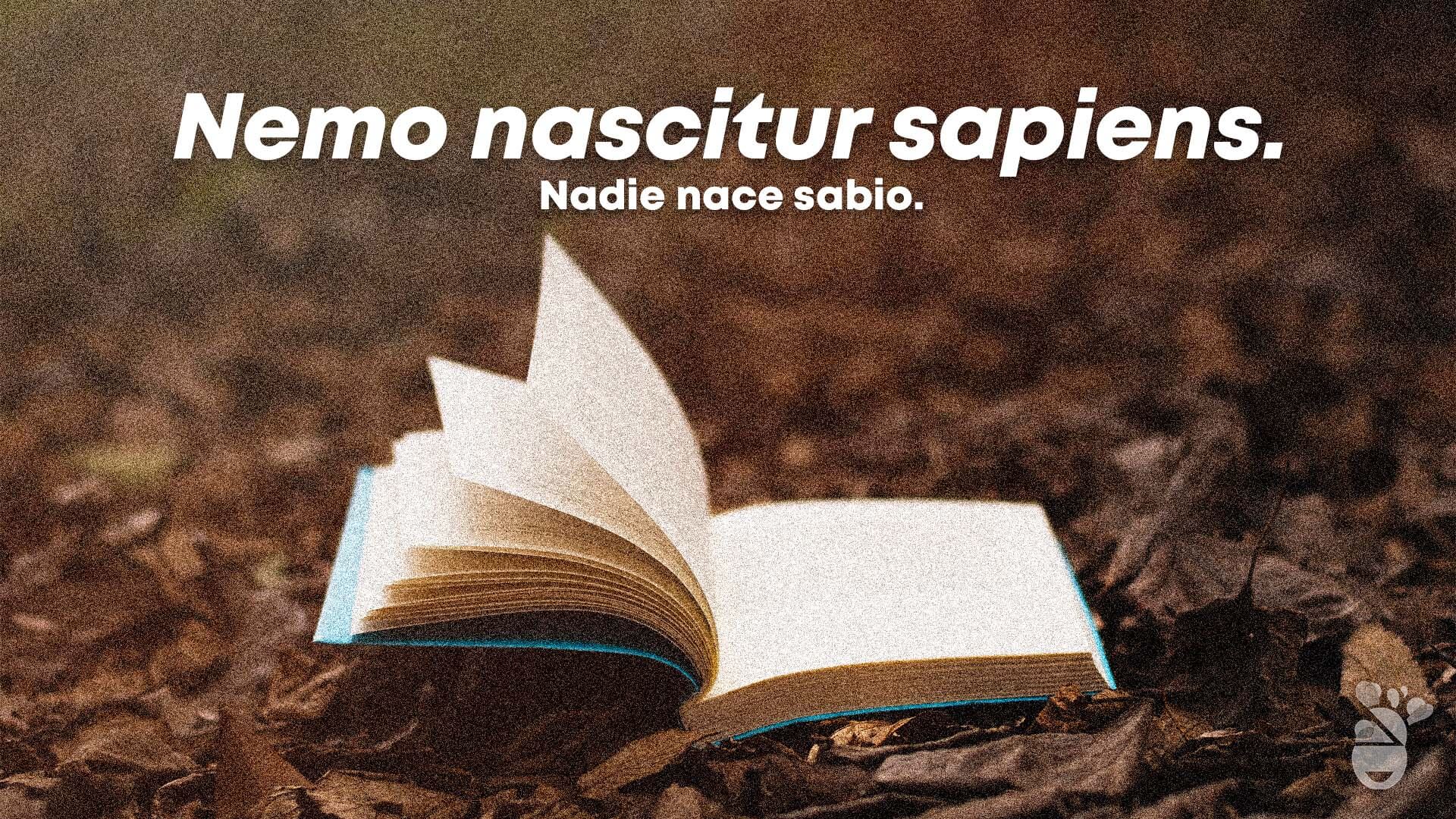 Frases y proverbios en latín sobre la sabiduría