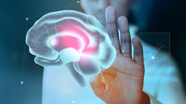 Neuropsicología, una rama psicológica que estudia el cerebro y la conducta