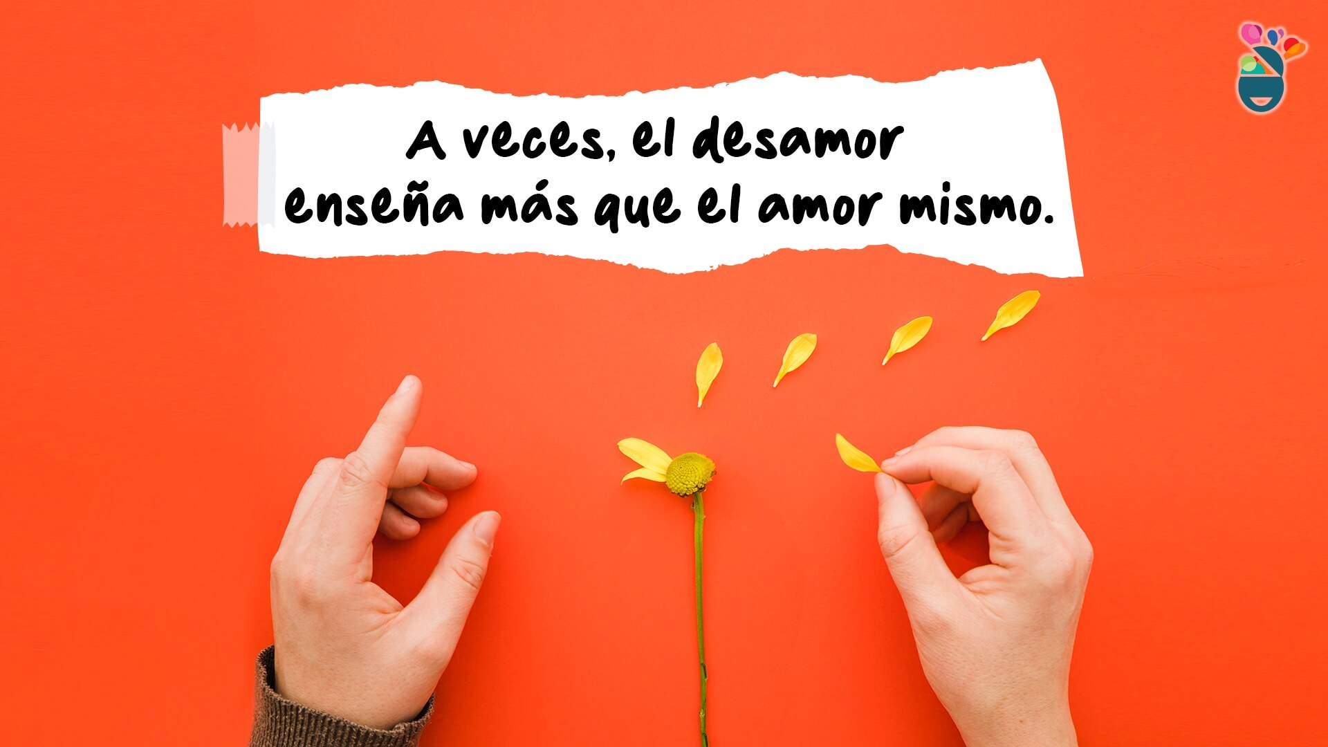 160 frases de desamor que te ayudarán a sanar y empezar de nuevo
