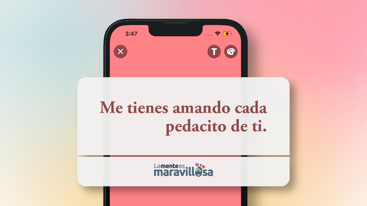 Frase de amor para estado en WhatsApp