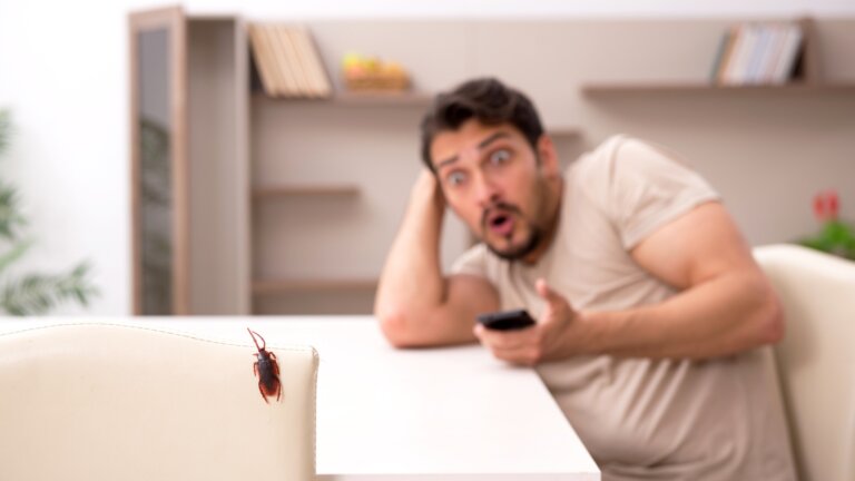 Por qué surge la blatofobia y cómo superar este miedo a las cucarachas
