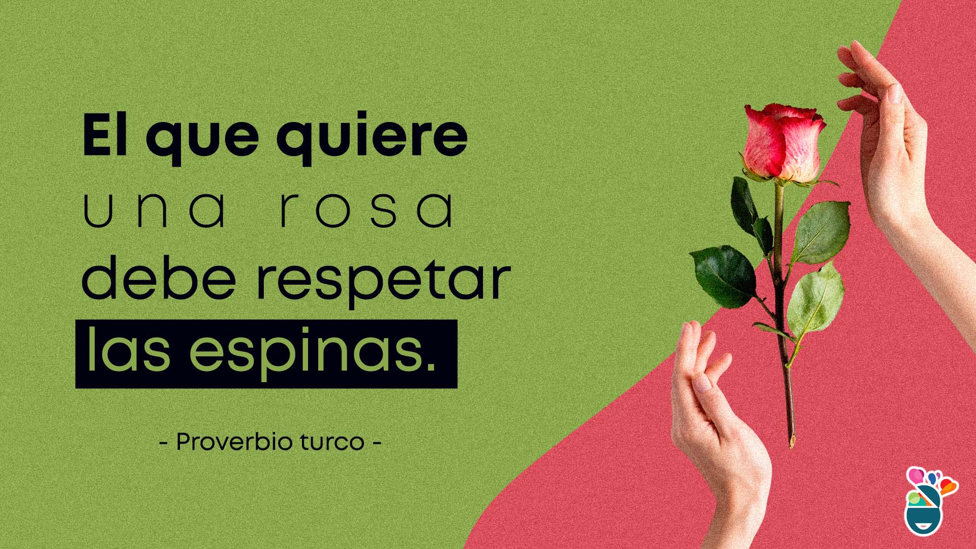 Una rosa con espinas representando lo que es respetar en el amor