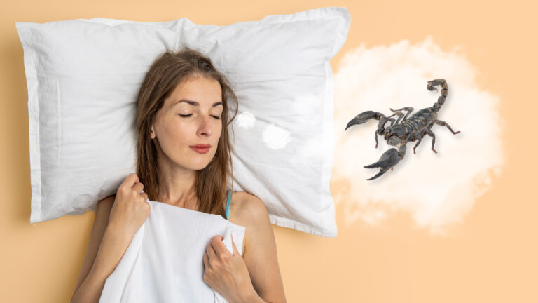 Cuál es el significado de soñar con escorpiones
